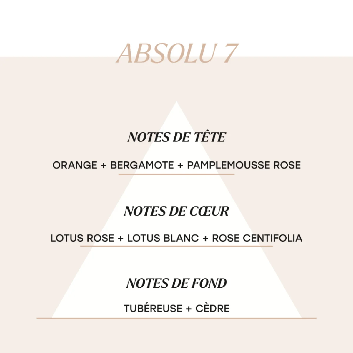Absolu 7 - Image 2