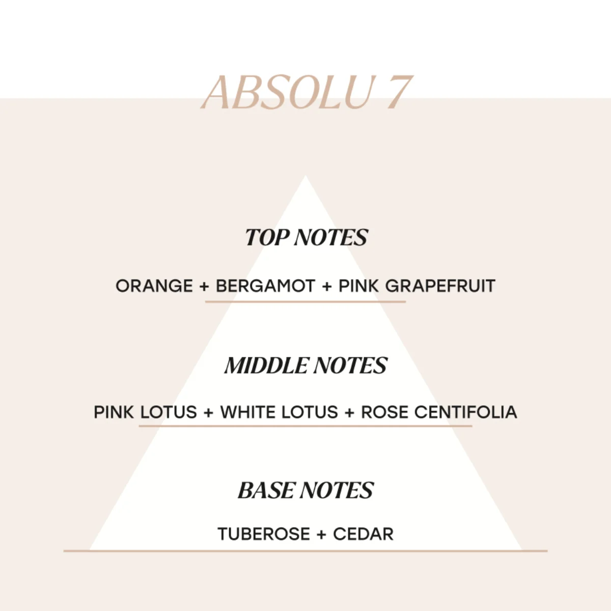 Absolu 7 - Image 3
