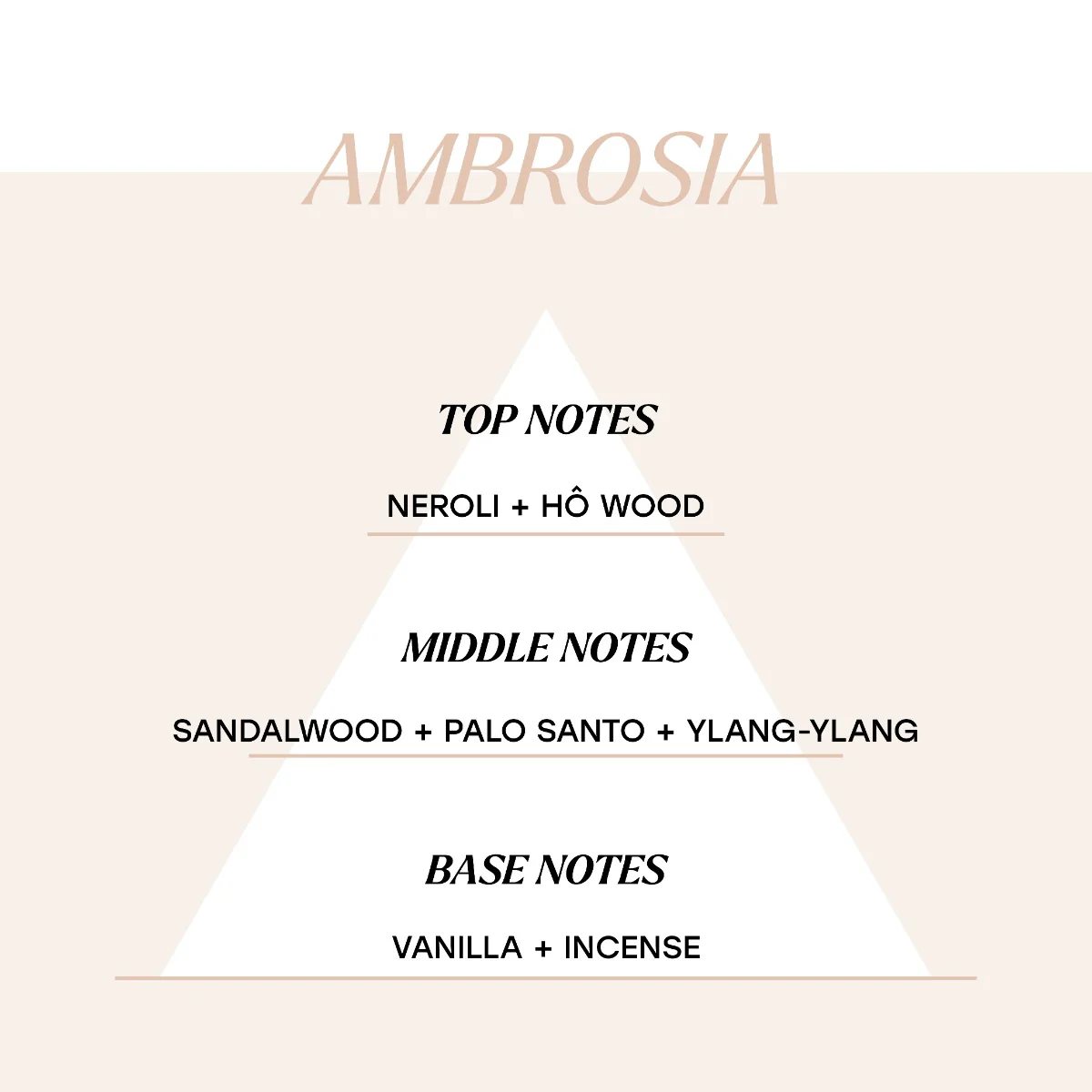 Ambrosia - Image 3