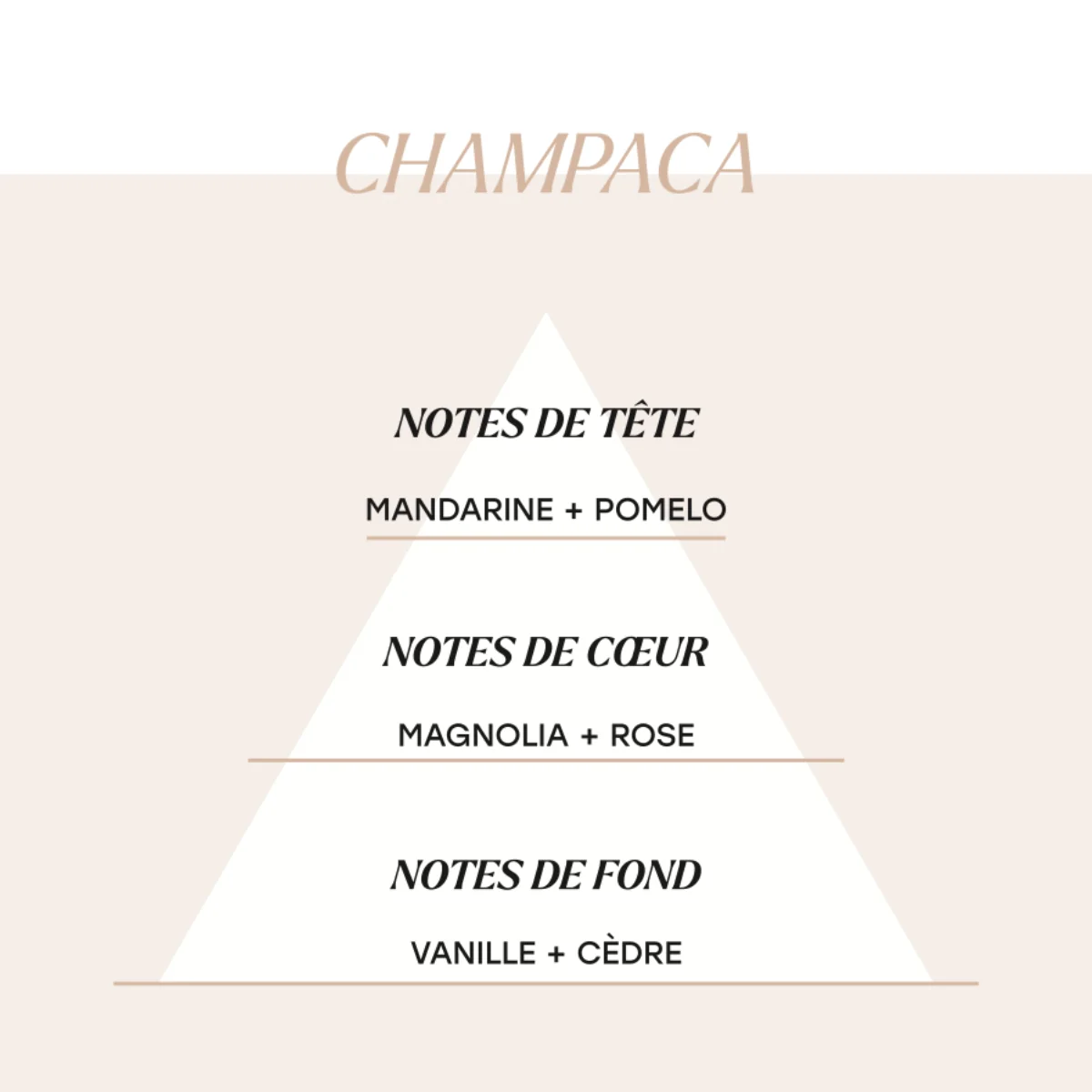Champaca - Image 2