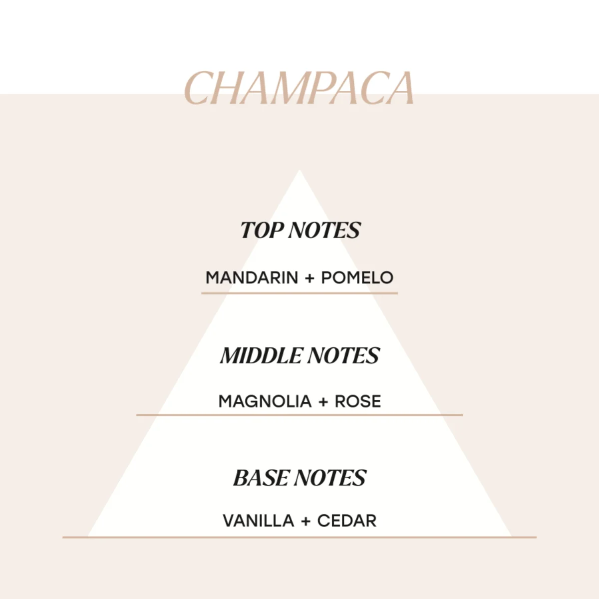 Champaca - Image 3