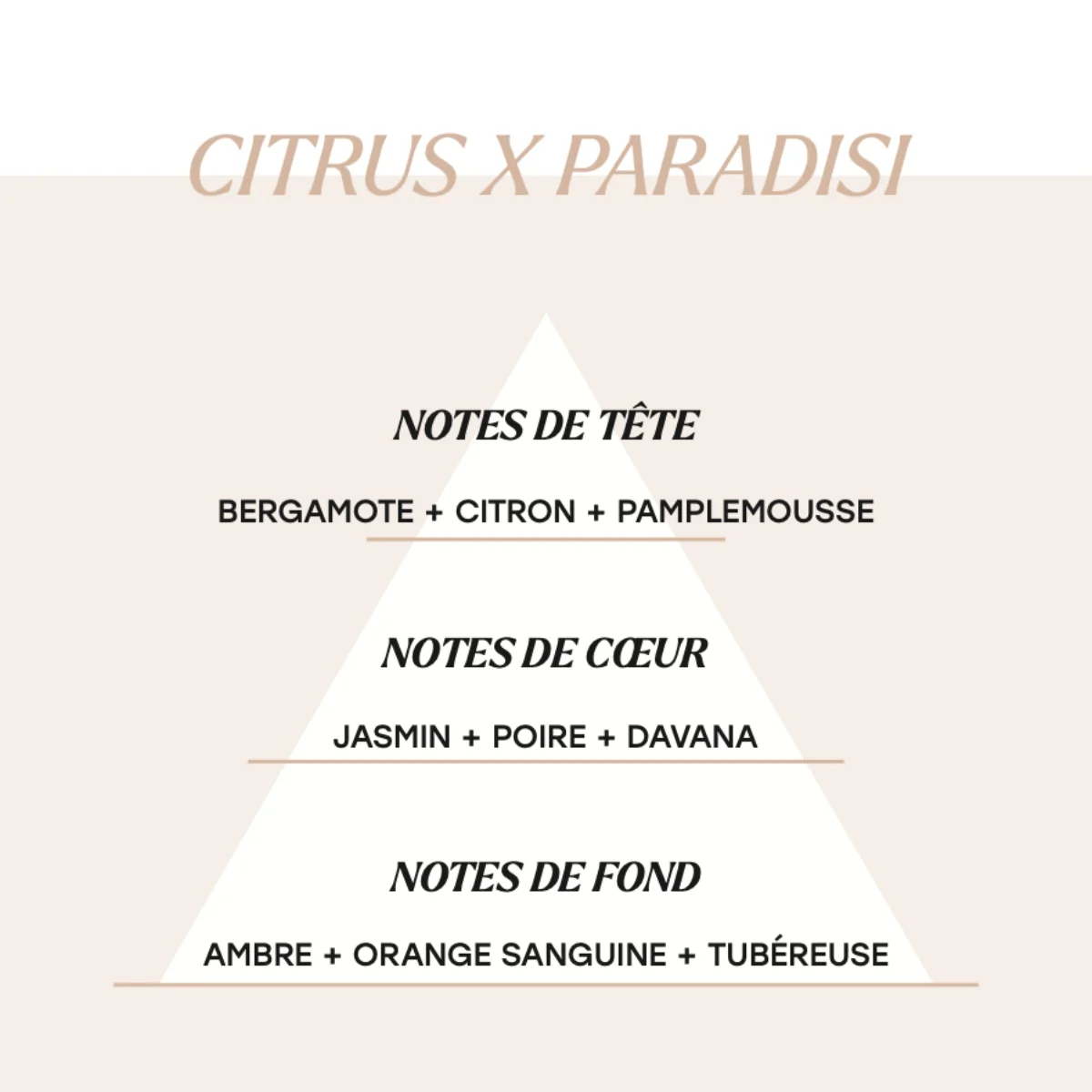 Citrus X Paradisi - Image 2