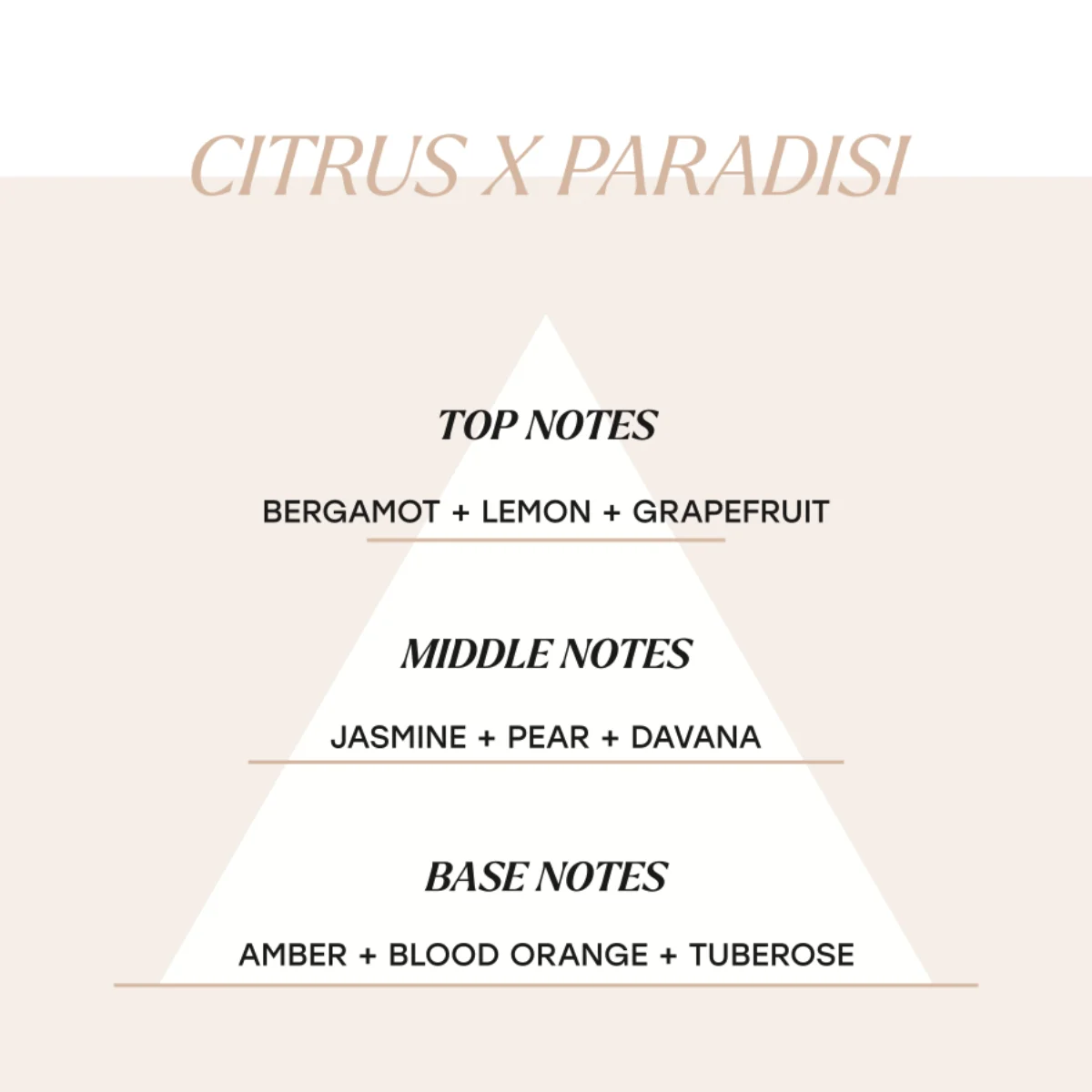Citrus X Paradisi - Image 3