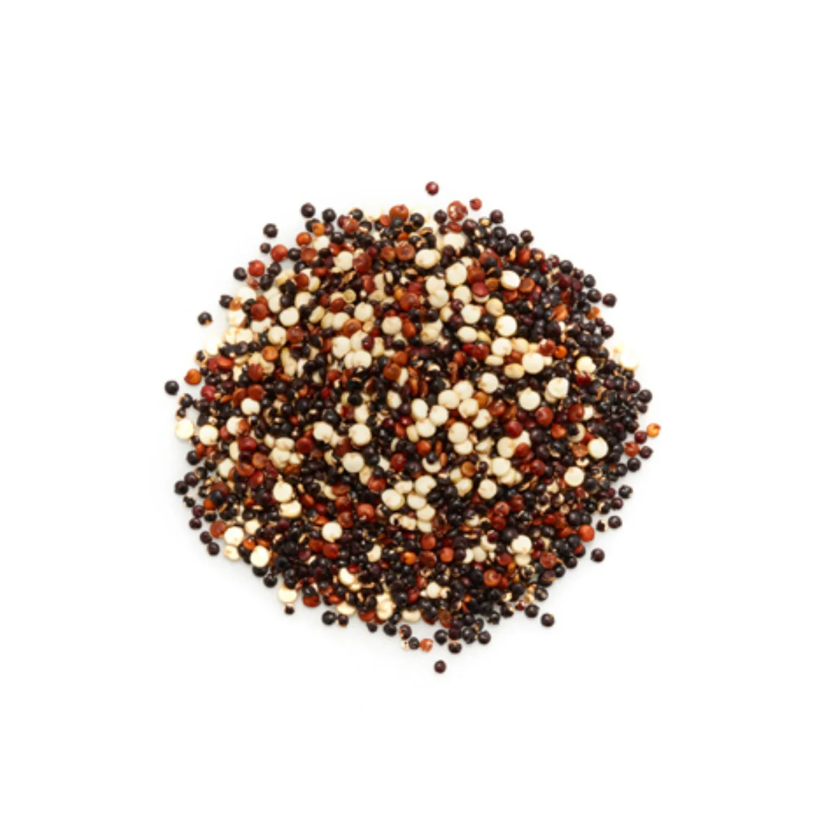 Graine de quinoa royal tricolore - Image 2