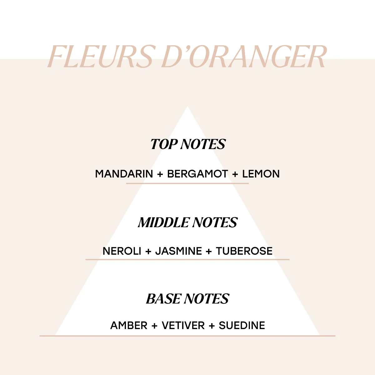 Fleurs d'oranger - Image 3