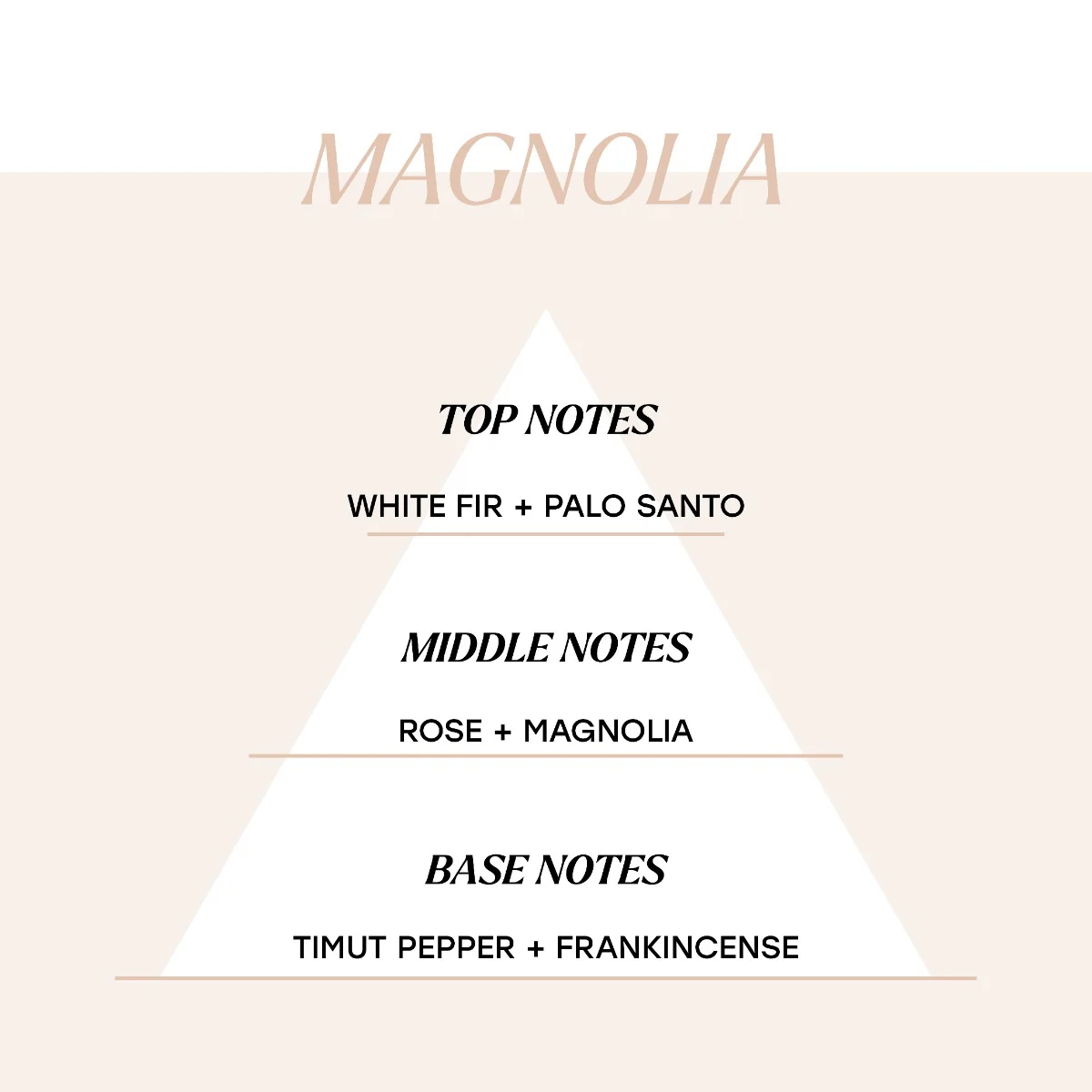 Magnolia - Image 3