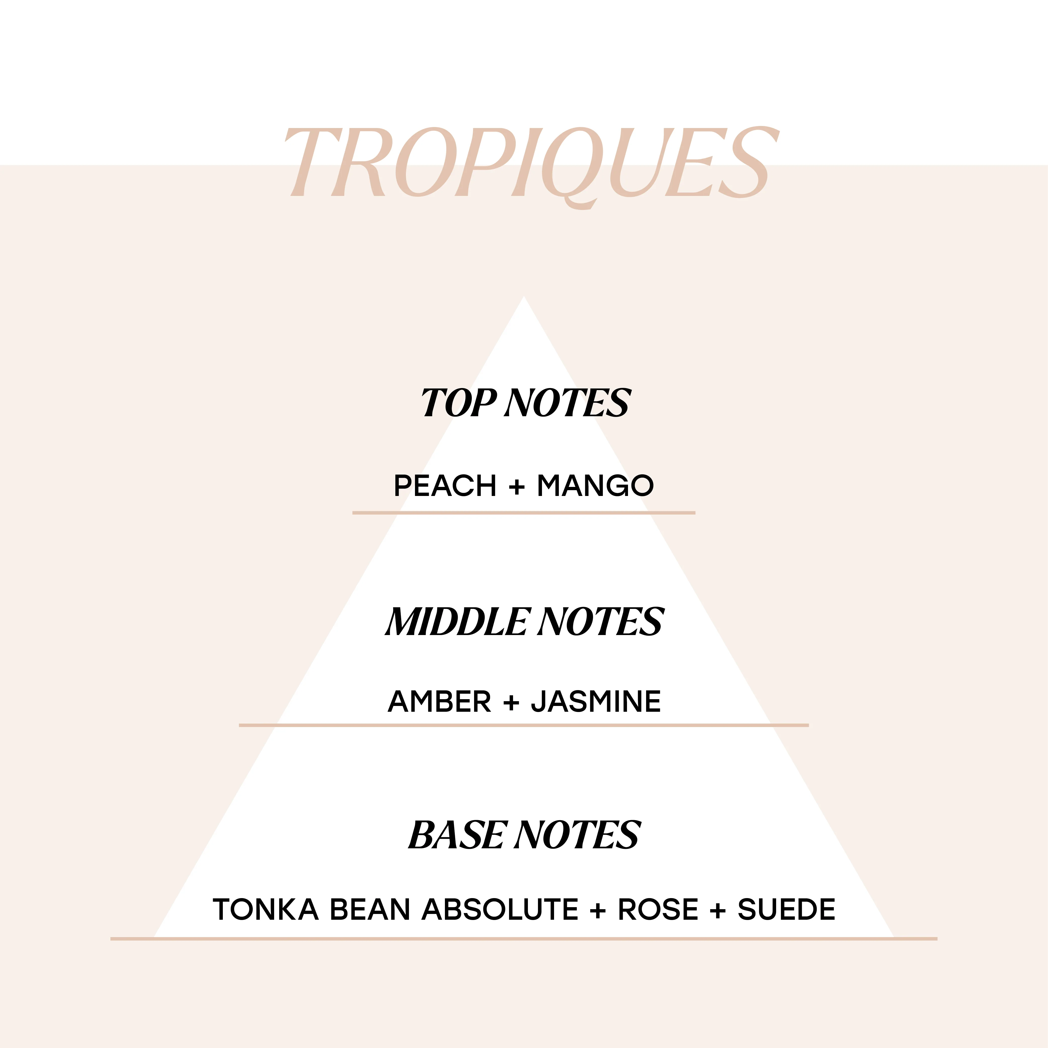 Tropiques - Image 3