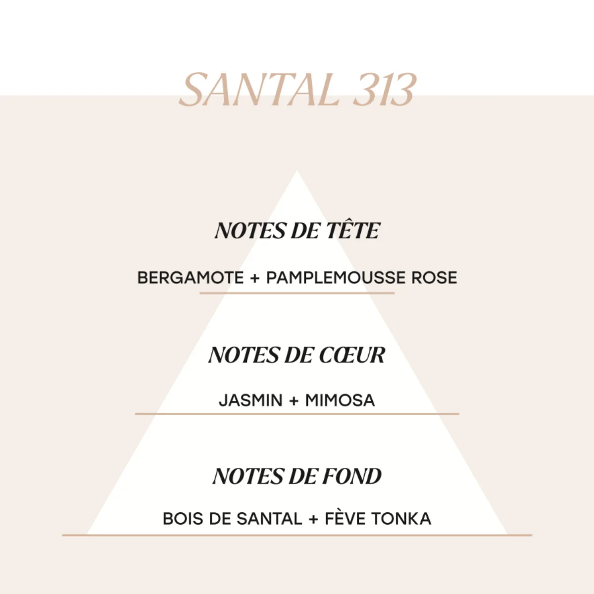 Santal 313 - Image 2